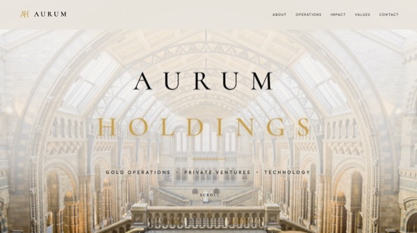 Aurum Holdings Ltd website